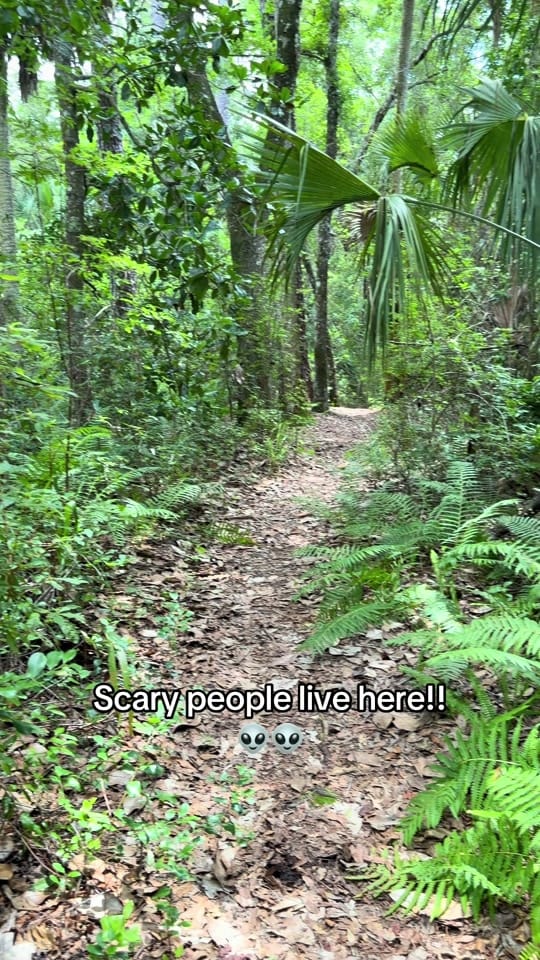 Post 1 by All things Florida on TikTok (video)