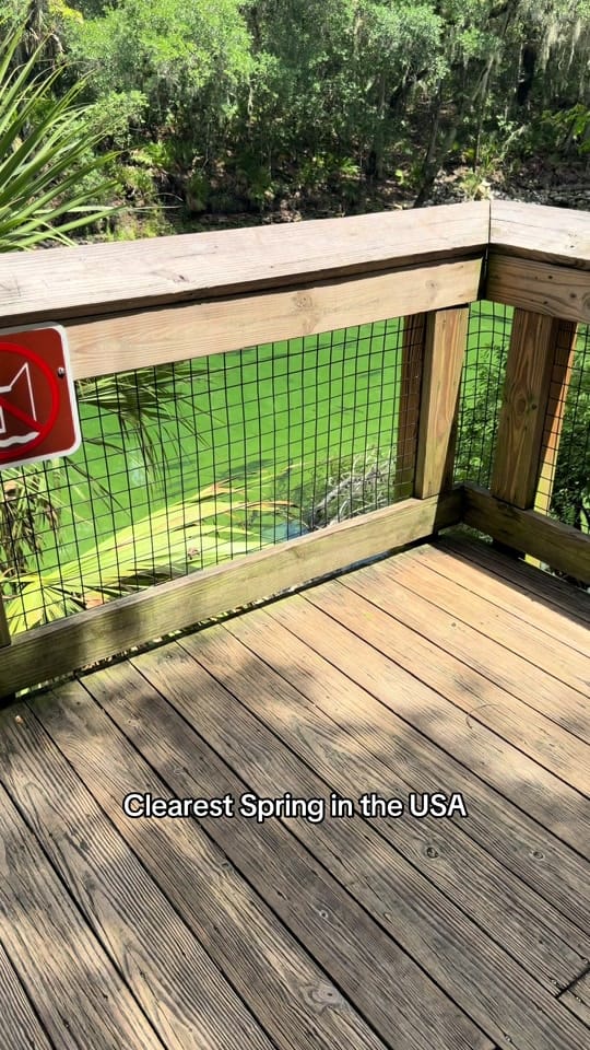 Post 3 by All things Florida on TikTok (video)