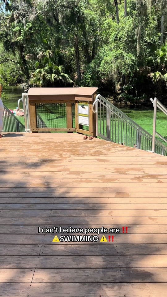 Post 6 by All things Florida on TikTok (video)