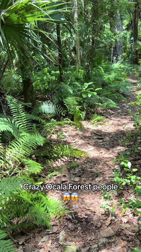 Post 2 by All things Florida on TikTok (video)
