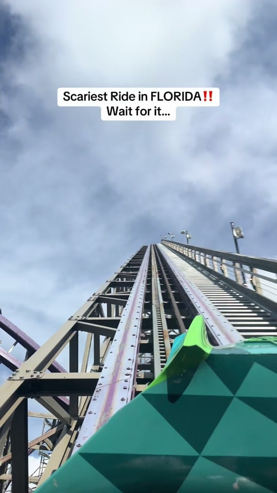 Post 7 by All things Florida on TikTok (video)