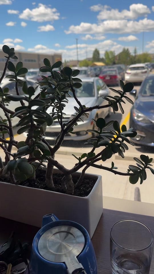 Post 1 by Julie on TikTok (video)