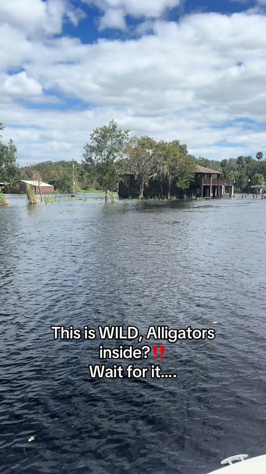Post 5 by All things Florida on TikTok (video)