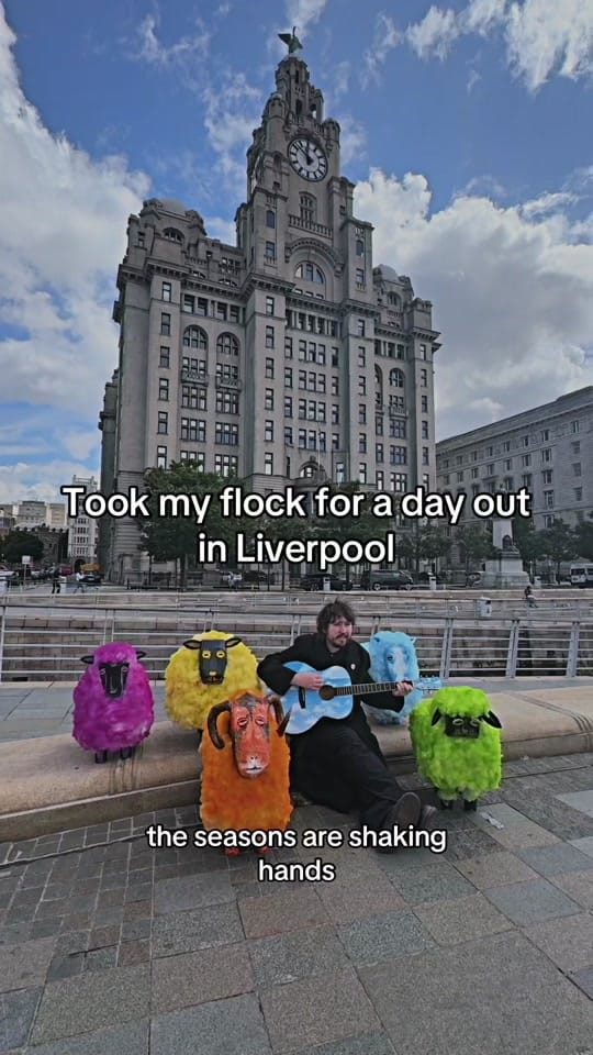 Post 4 by Novelty Island on TikTok (video)