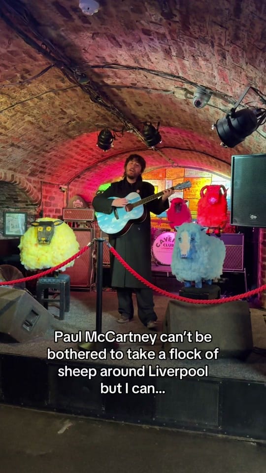 Post 3 by Novelty Island on TikTok (video)