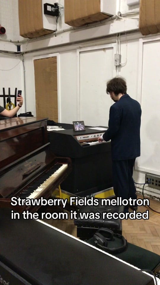Post 10 by Novelty Island on TikTok (video)