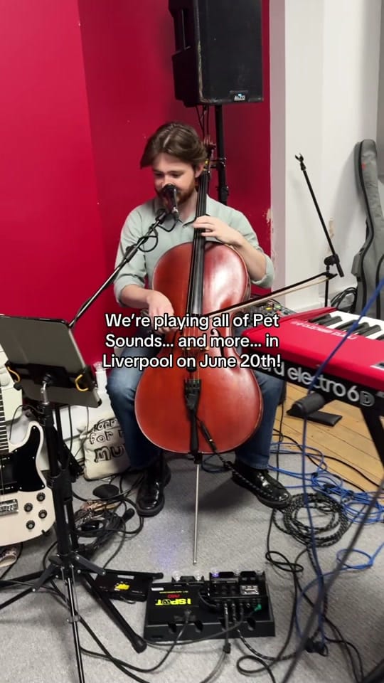 Post 5 by Novelty Island on TikTok (video)