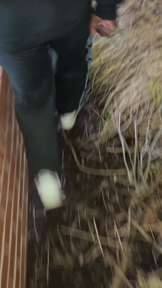 Post 5 by Famous Amos on TikTok (video)