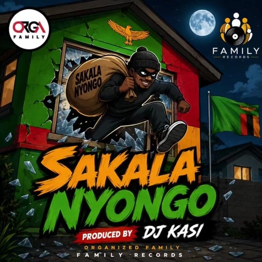 Post 2 by Organised Family on TikTok (video)
