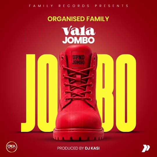 Post 6 by Organised Family on TikTok (video)