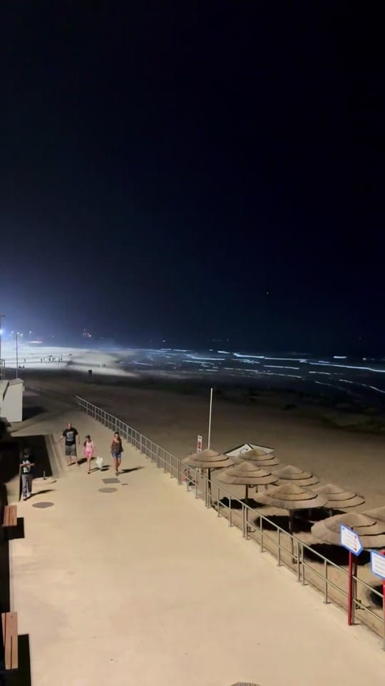 Post 2 by susana_lapa on TikTok (video)