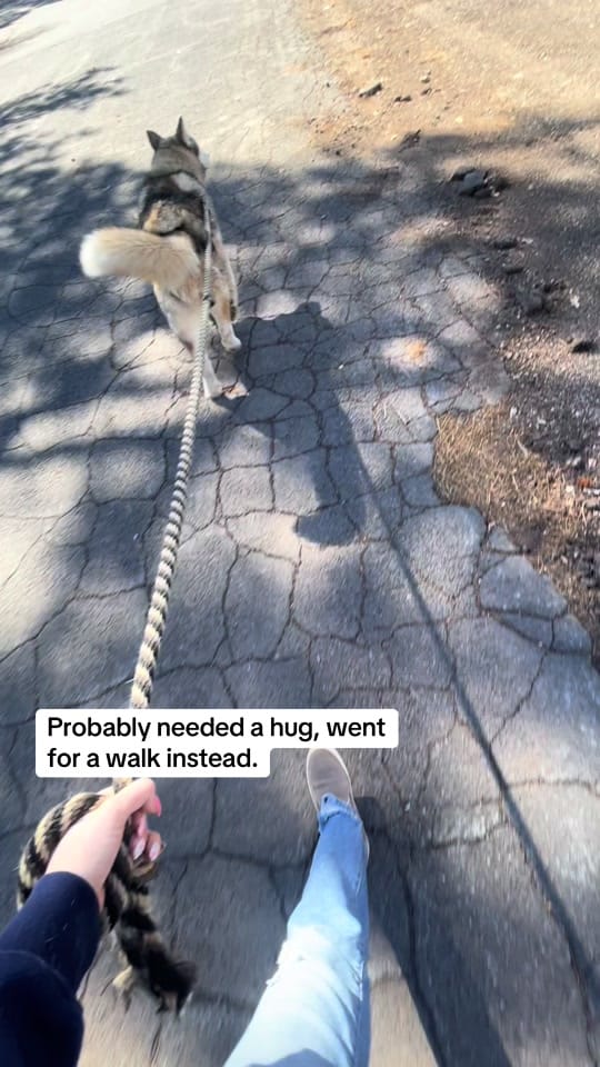 Post 2 by Joce Riepe on TikTok (video)