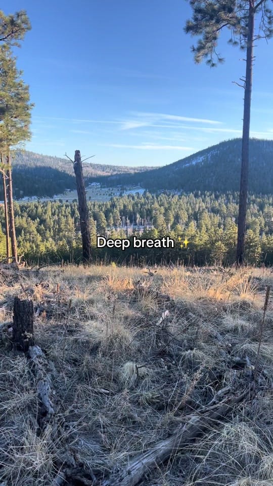 Post 5 by Joce Riepe on TikTok (video)