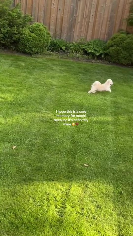 Post 5 by clemence on TikTok (video)