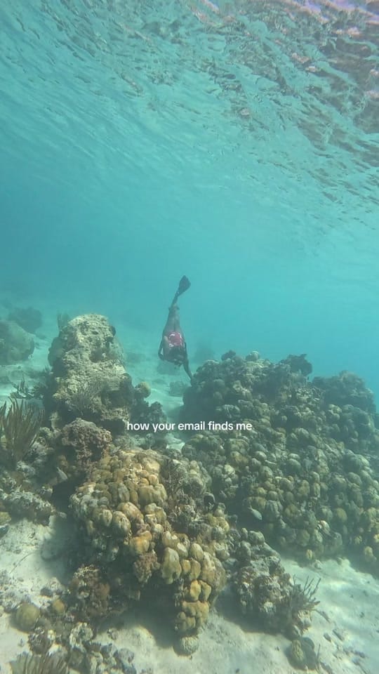 Post 3 by lauren 🌻 on TikTok (video)