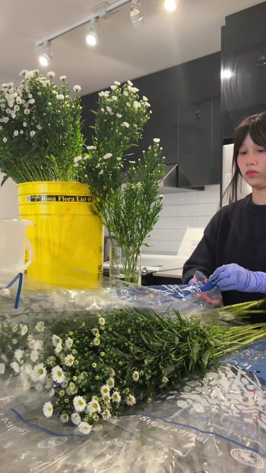 Post 7 by phuongnhumi on TikTok (video)
