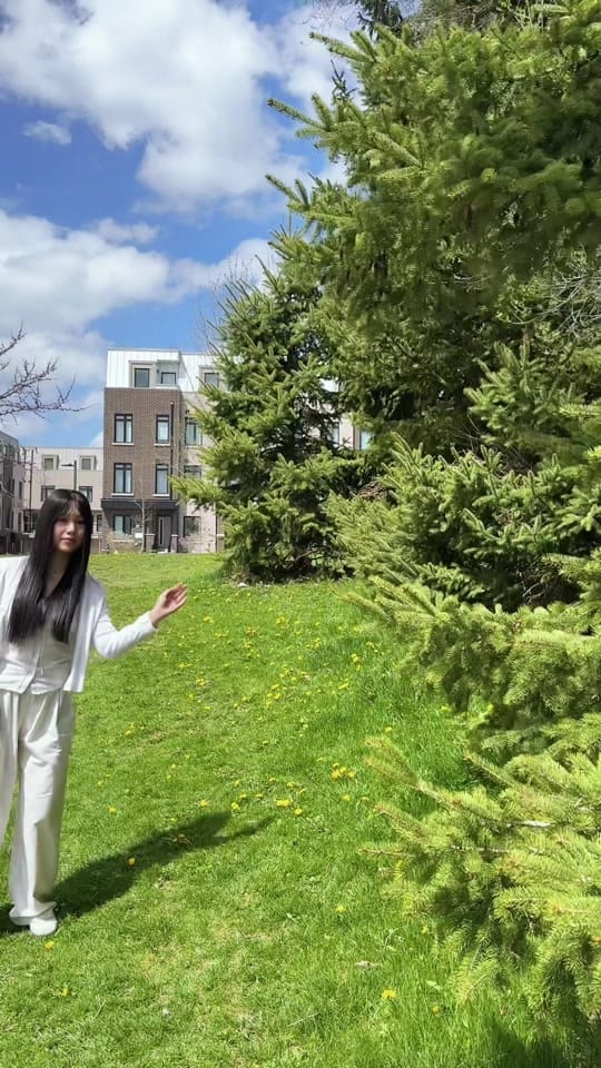 Post 10 by phuongnhumi on TikTok (video)