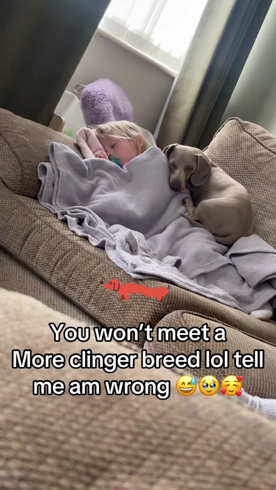 Post 5 by Danielle Edgar 🫶🏼 on TikTok (video)