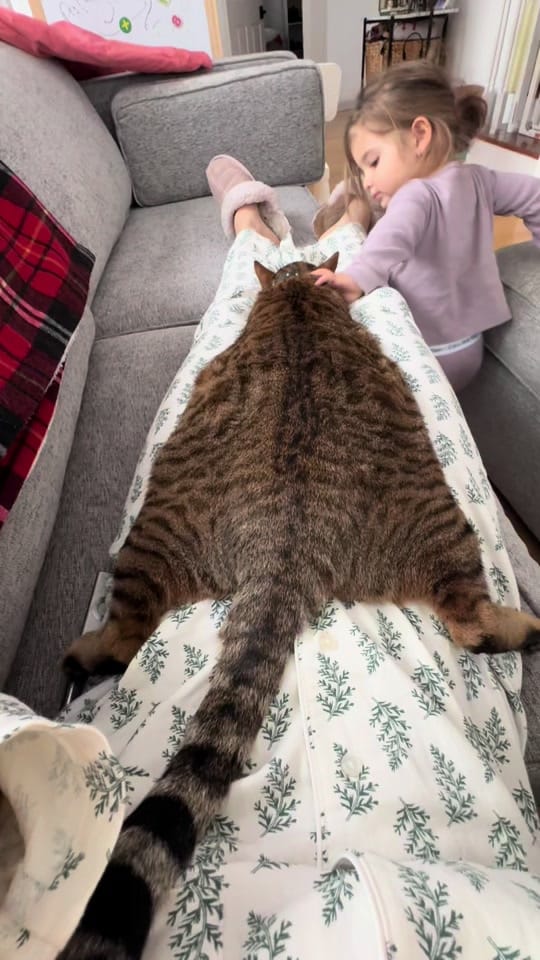 Post 9 by dianabelmontecourtier on TikTok (video)