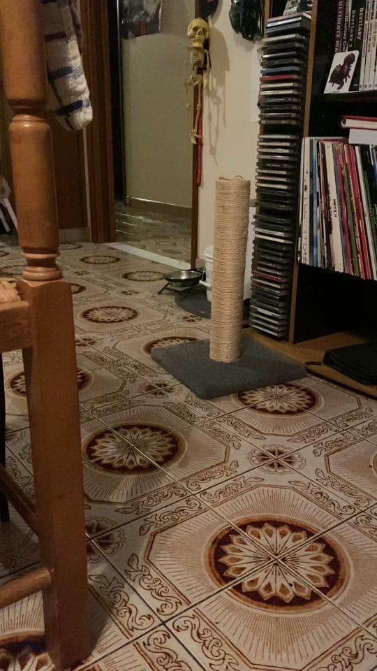 Post 8 by Ayla on TikTok (video)