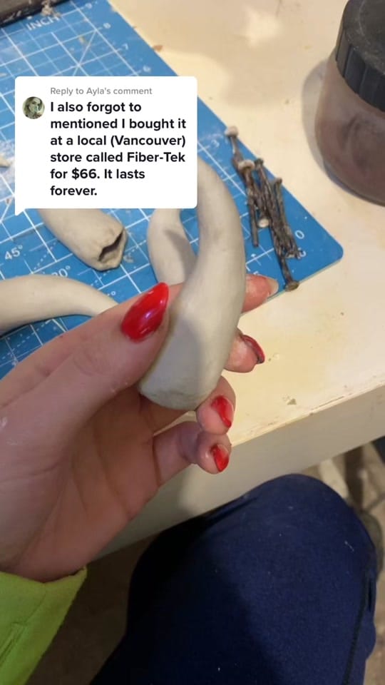 Post 2 by Ayla on TikTok (video)