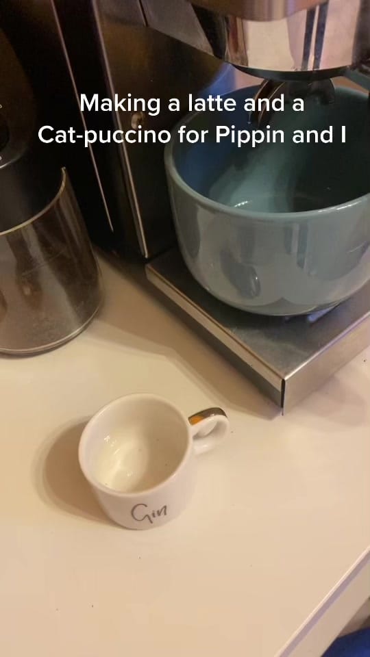 Post 10 by Ayla on TikTok (video)