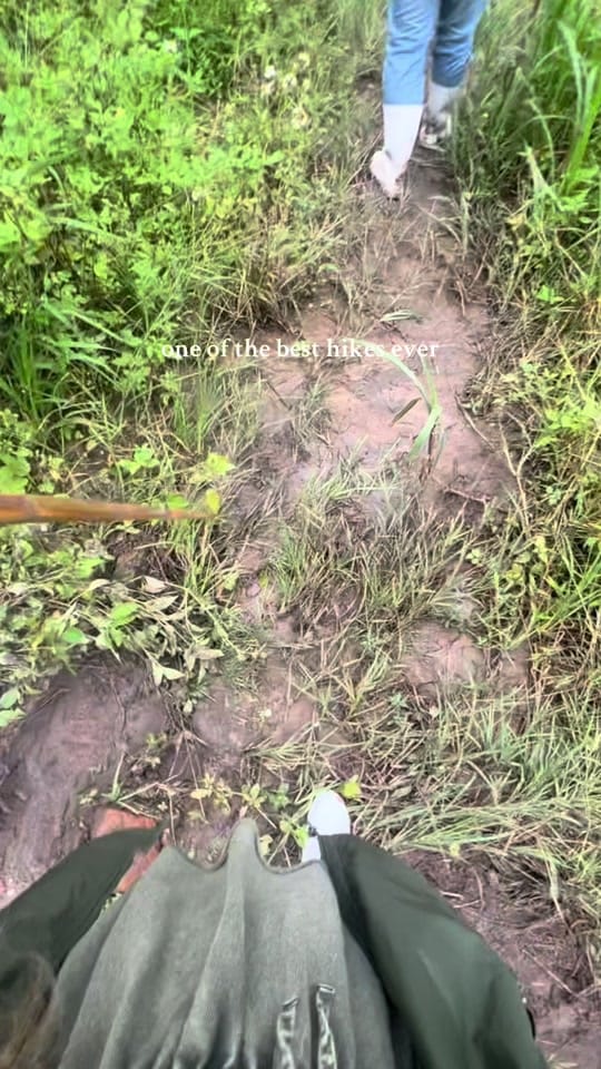 Post 9 by mikaela 𐦍 on TikTok (video)