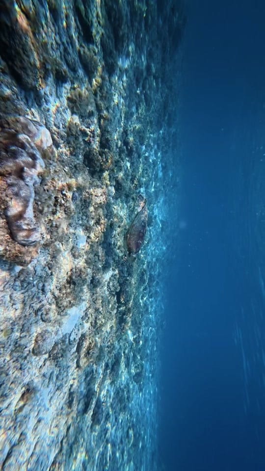 Post 6 by Ging Sa on TikTok (video)