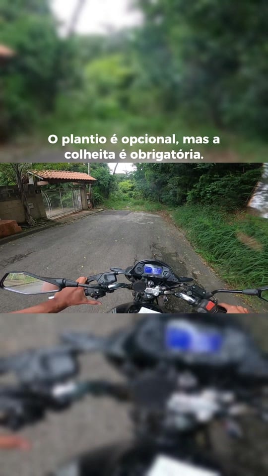 Post 7 by Lhyvinho 150 on TikTok (video)