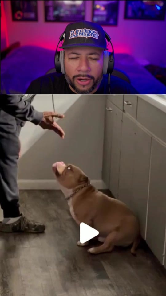 Post 4 by DJ MoonDawg on TikTok (video)