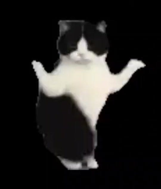 Post 5 by imjustabdul🇵🇸🇵🇸🇵🇸 on TikTok (video)