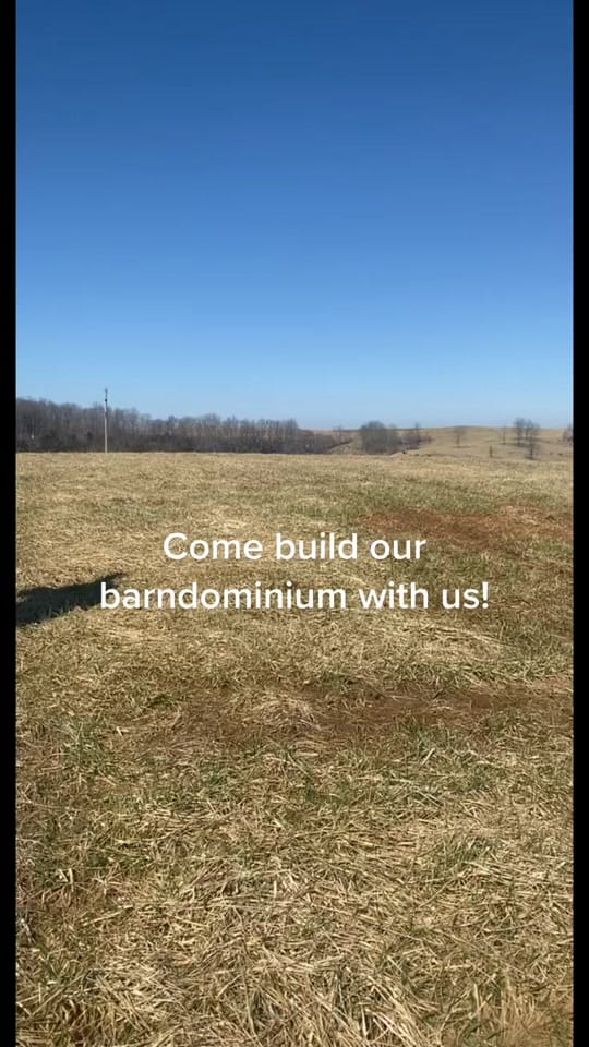 Post 9 by jules mashburn on TikTok (video)