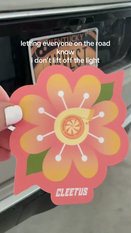 Post 7 by jules mashburn on TikTok (video)