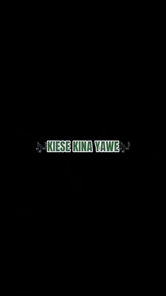 Post 2 by W-De-Sousa on TikTok (video)