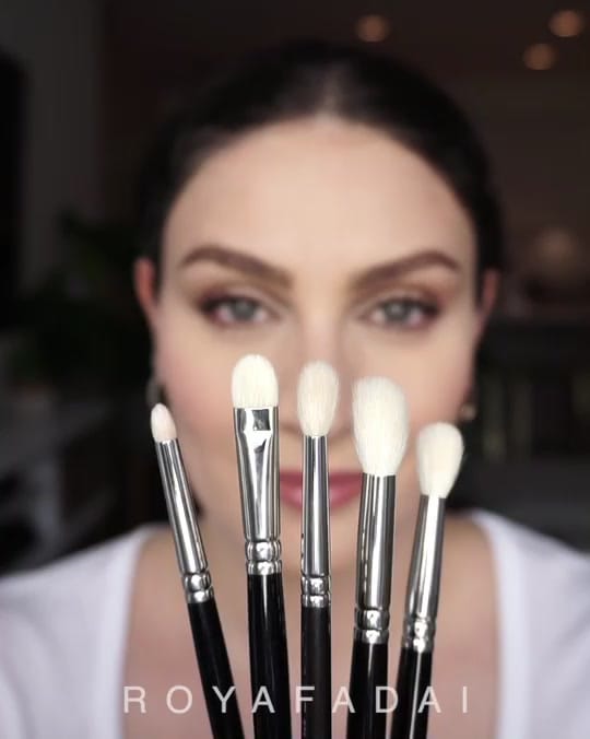 Post 6 by Roya Fadai 🇨🇦 on TikTok (video)