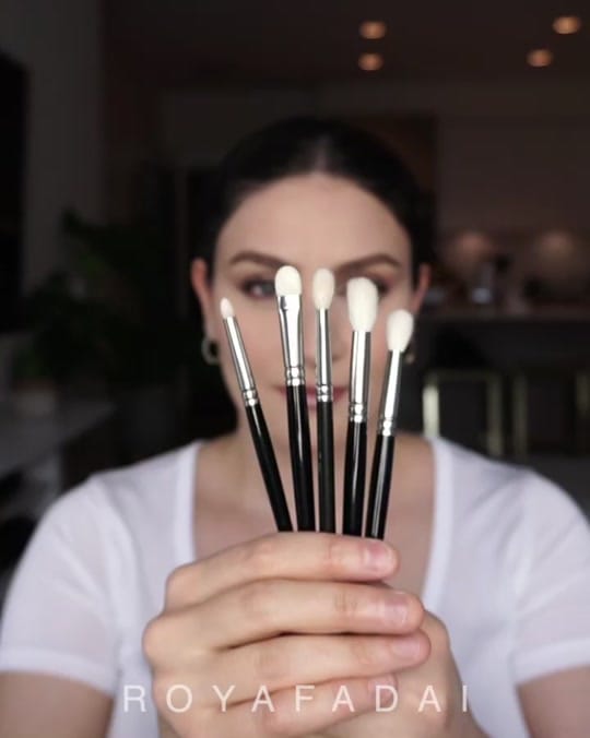 Post 7 by Roya Fadai 🇨🇦 on TikTok (video)