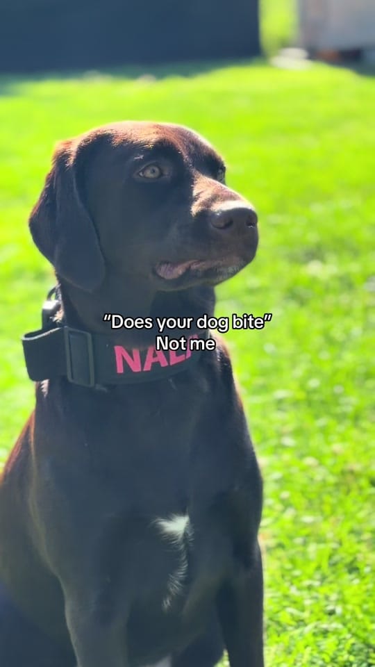 Post 1 by Mathew Harper on TikTok (video)