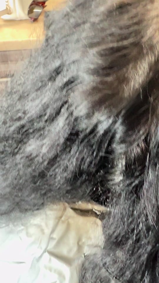 Post 7 by Roop on TikTok (video)