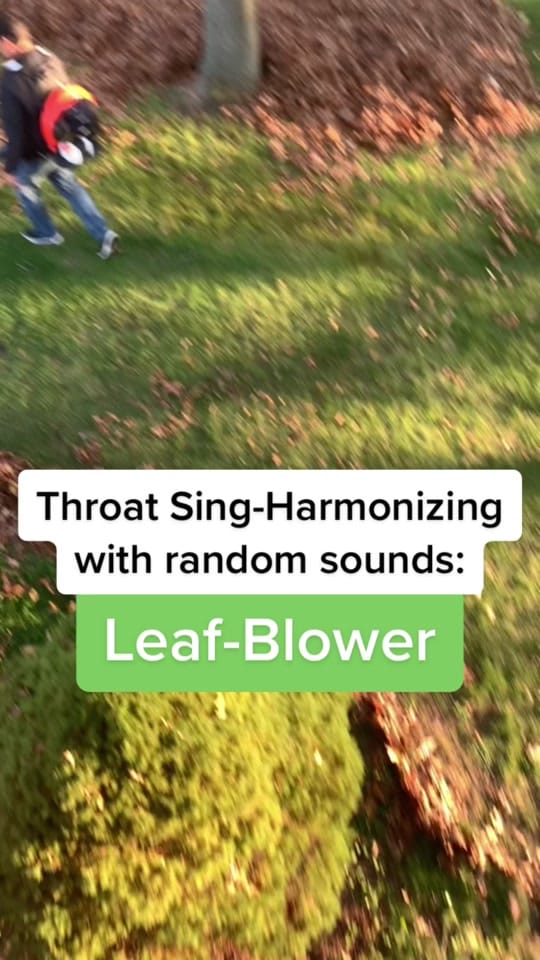Post 8 by Throat Goat on TikTok (video)