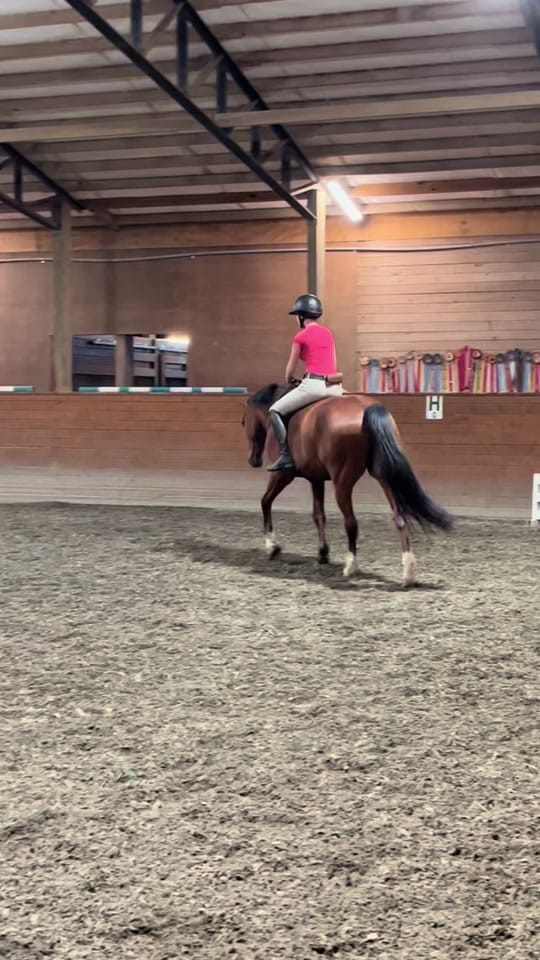 Post 6 by lilah on TikTok (video)