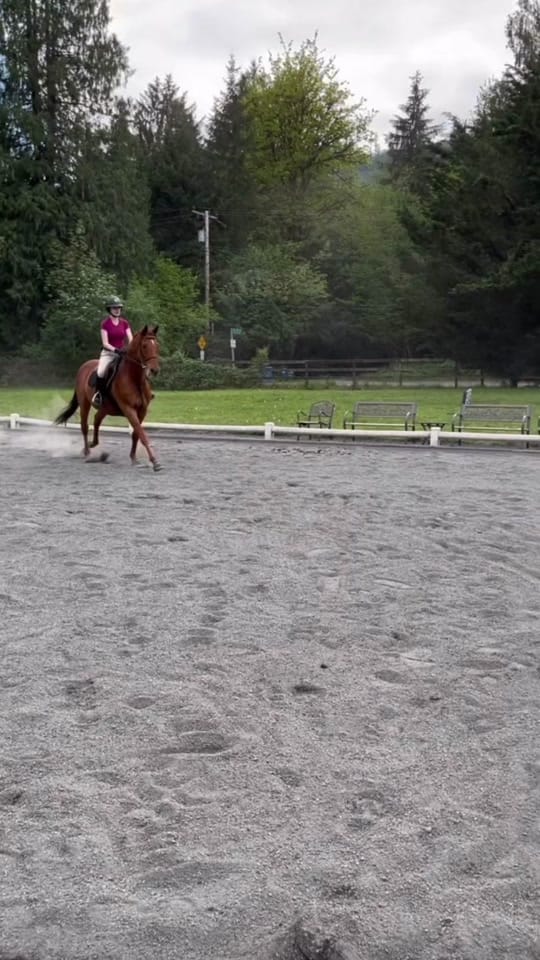 Post 4 by lilah on TikTok (video)