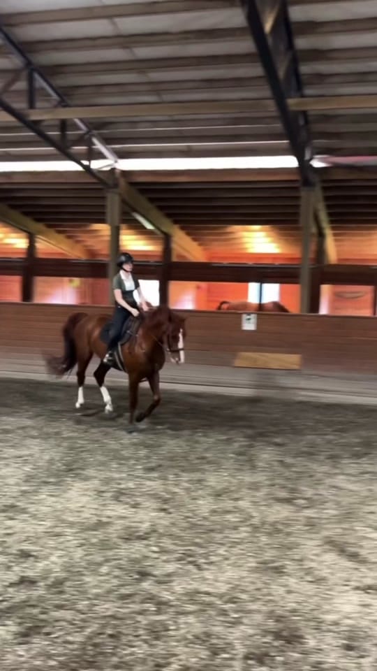 Post 3 by lilah on TikTok (video)