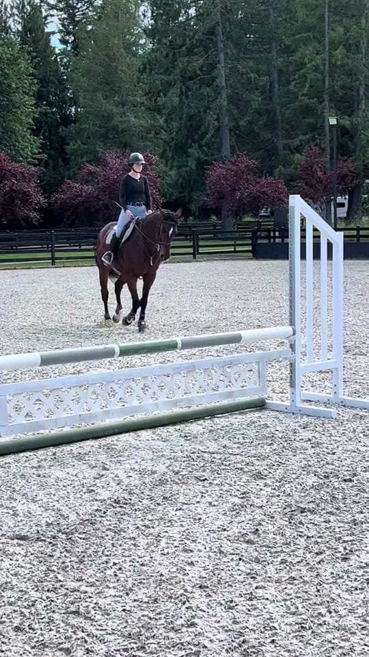 Post 1 by lilah on TikTok (video)