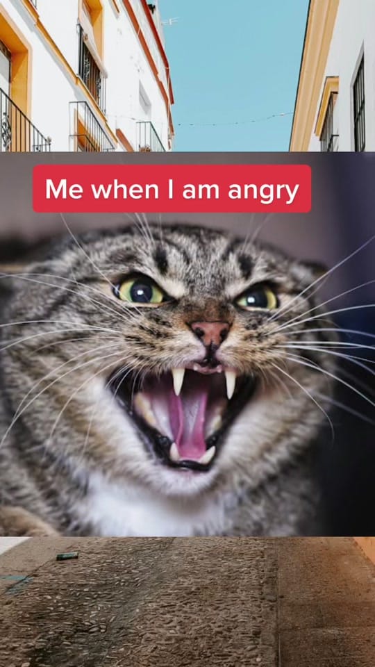 Post 10 by TiLaShMi on TikTok (video)