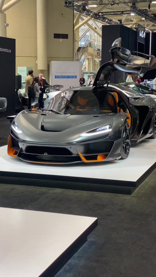 Post 4 by Wolf on TikTok (video)