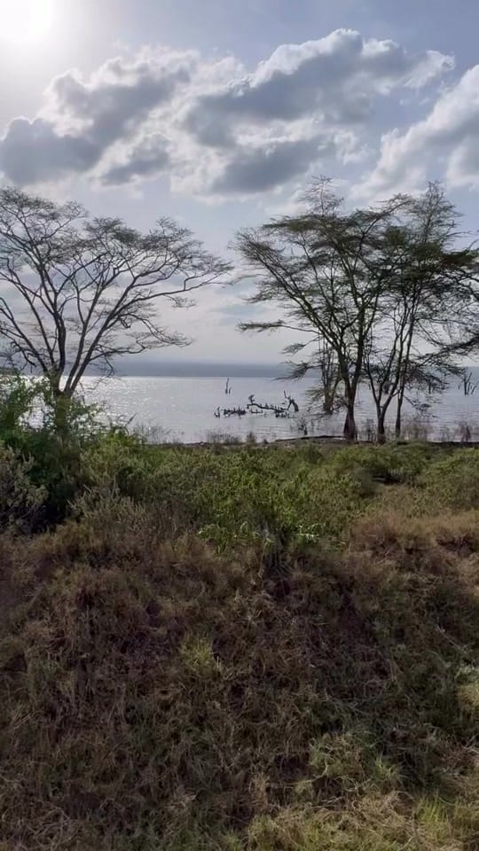 Post 5 by Brendan Godley on TikTok (video)