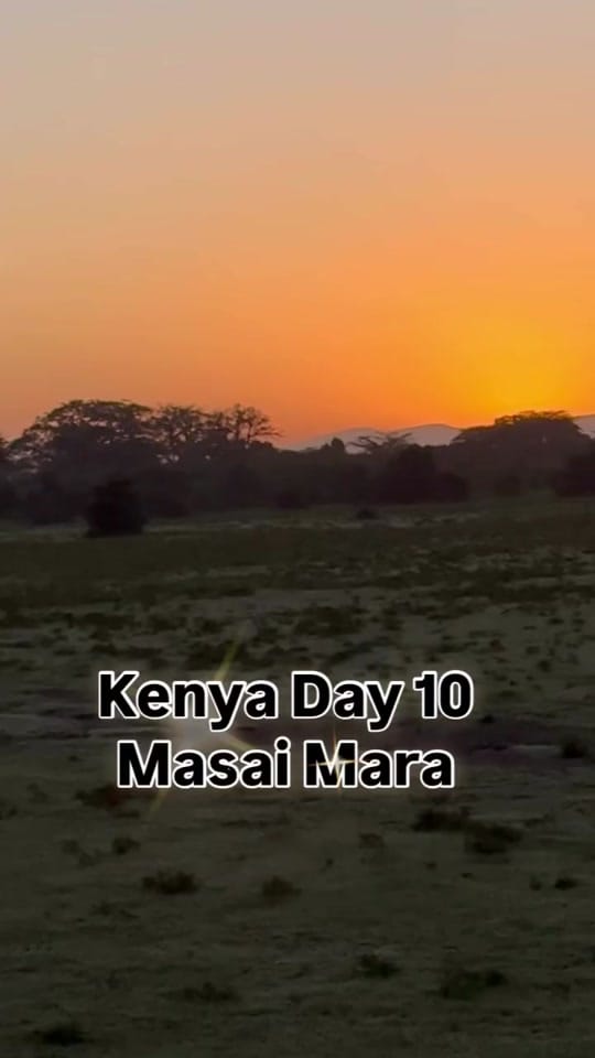 Post 4 by Brendan Godley on TikTok (video)