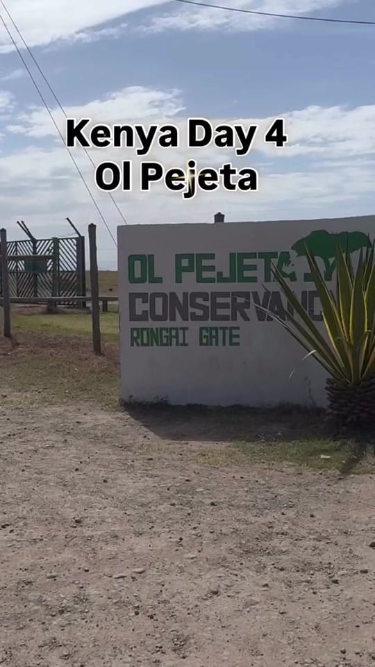 Post 9 by Brendan Godley on TikTok (video)