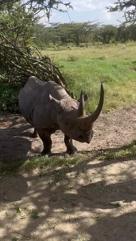 Post 7 by Brendan Godley on TikTok (video)