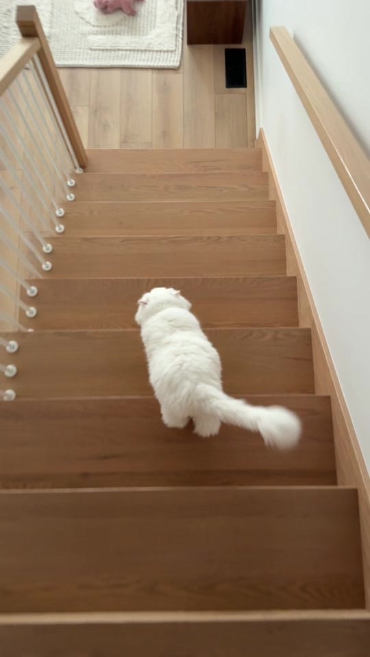 Post 1 by nazashevchuk on TikTok (video)